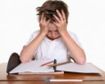 /album/educacion/shutterstock-3511202-jpg/